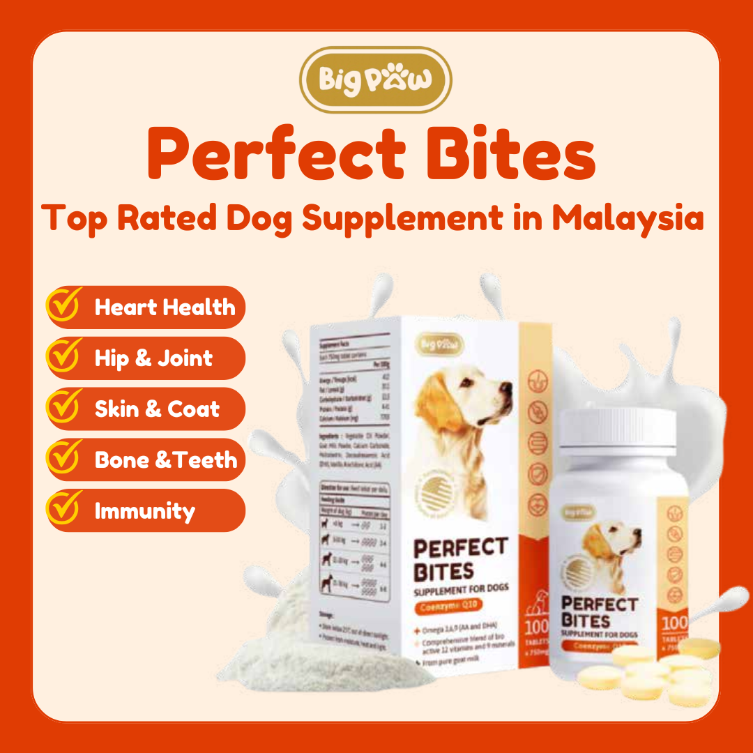 Perfect Bites 11-in-1 Supplement for Dogs