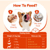 Perfect Bites 11-in-1 Supplement for Dogs